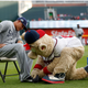 Illustration for article titled Manny Machados Feud With The Braves Mascot Is Extremely Good